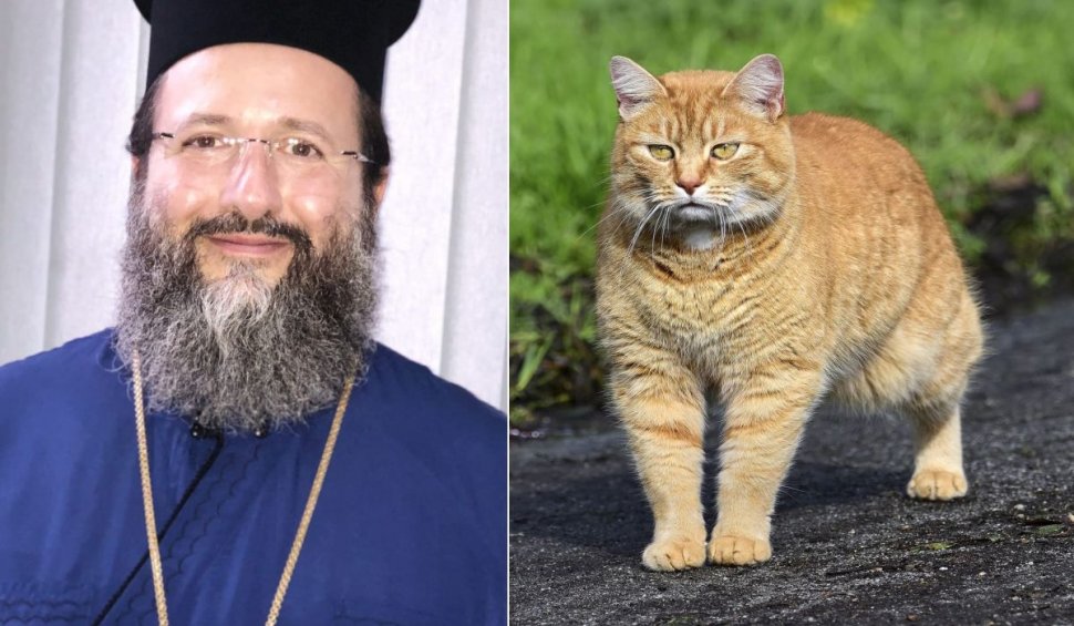 "Decât cu popa în Rai, mai bine cu pisicile în Iad" | Replică devastatoare pentru preotul Matei Vulcănescu, care i-a amenințat pe iubitorii de animale că vor ajunge în Iad