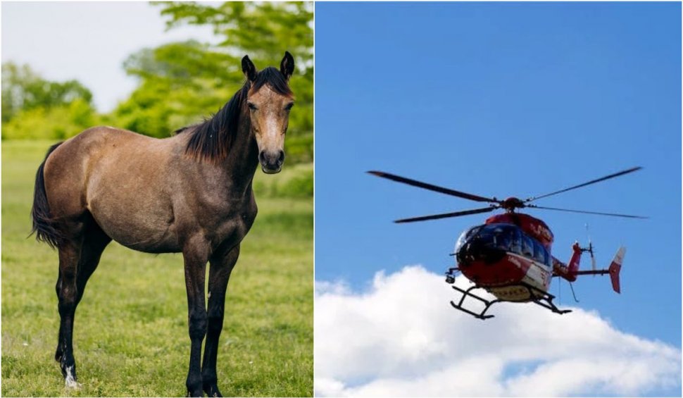 Un tânăr de 23 de ani a fost mușcat de cal. Elicopterul SMURD, chemat de urgență la Botoșani
