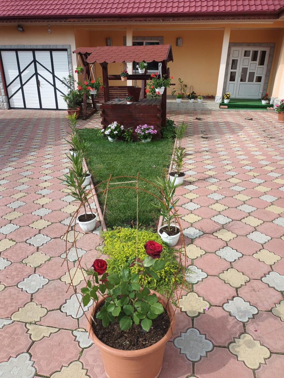 "Am lăsat salariile de sute de milioane de lei“ | Povestea unui cuplu de români reîntors în ţară după 17 ani de trudă printre străini 837749