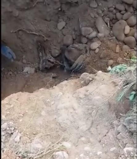 A primit a doua şansă la viaţă | Un câine, captiv de peste 24 de ore într-o conductă îngustă, a fost salvat de pompierii hunedoreni 838239