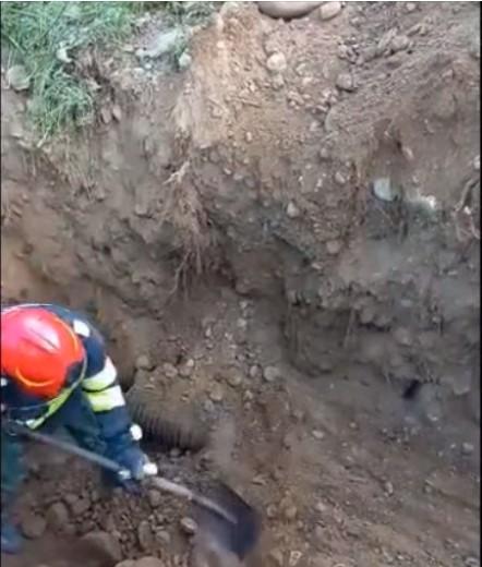 A primit a doua şansă la viaţă | Un câine, captiv de peste 24 de ore într-o conductă îngustă, a fost salvat de pompierii hunedoreni 838240