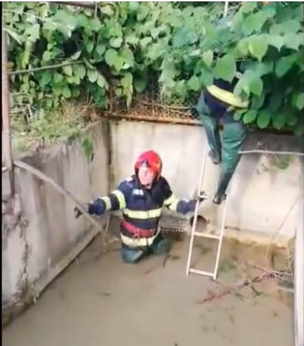 A primit a doua şansă la viaţă | Un câine, captiv de peste 24 de ore într-o conductă îngustă, a fost salvat de pompierii hunedoreni 838241