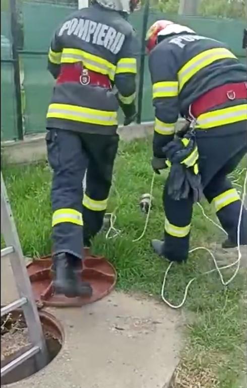 A primit a doua şansă la viaţă | Un câine, captiv de peste 24 de ore într-o conductă îngustă, a fost salvat de pompierii hunedoreni 838245