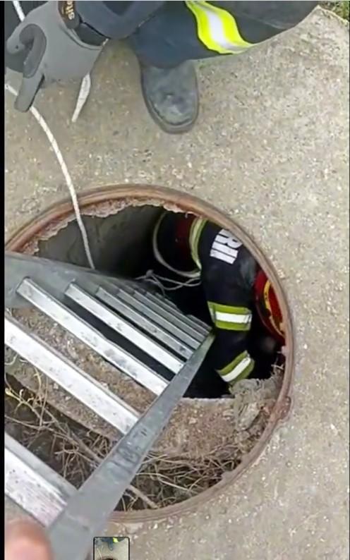 A primit a doua şansă la viaţă | Un câine, captiv de peste 24 de ore într-o conductă îngustă, a fost salvat de pompierii hunedoreni 838248