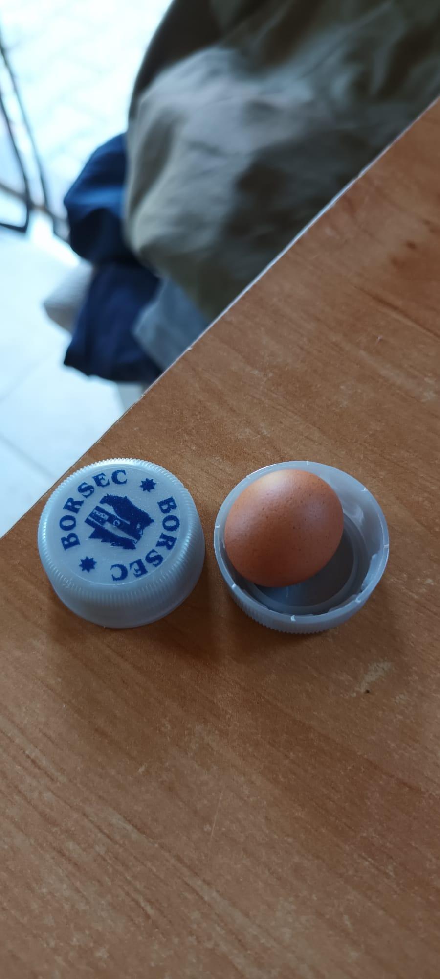 Surpriză la ferma unui bărbat din Cluj | Una dintre găinile sale a făcut cel mai mic ou din Ardeal 838452