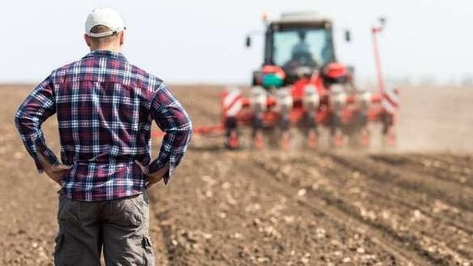 "Au fost mai atractivi". Fermierii români îşi asigură recoltele direct la firme de asigurare străine