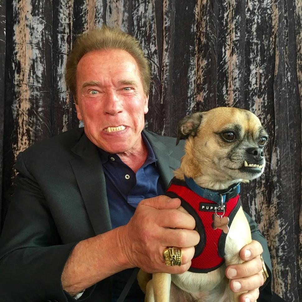 Arnold Schwarzenegger crede că raiul este o "fantezie": "Nu ne mai vedem după moarte" 838899