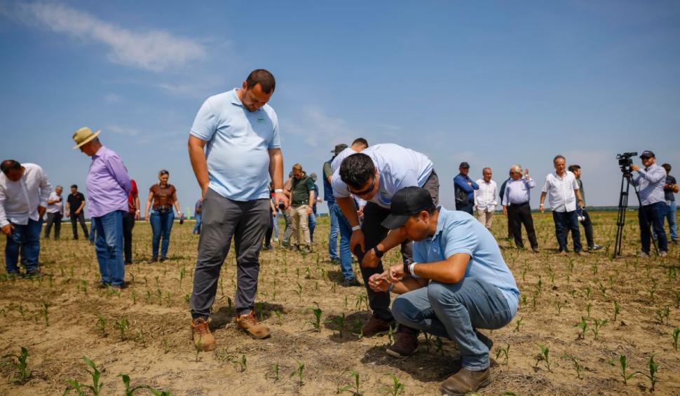 ONE SMART SPRAY, un joint-venture între Bosch și BASF, a prezentat pentru prima oară fermierilor români tehnologia sa revoluționară 838946