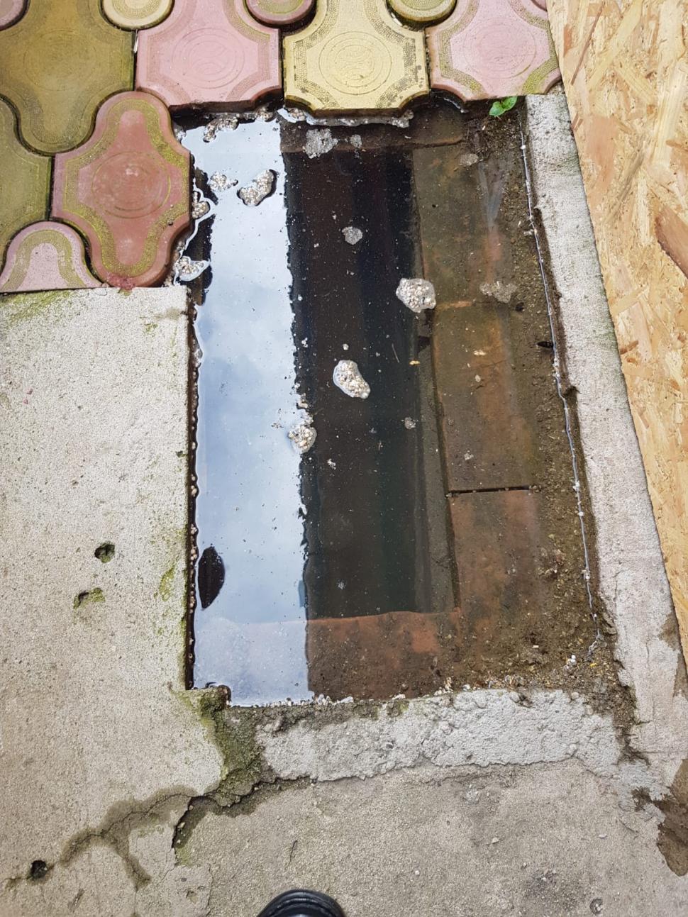 Inima copilului din Timiş care a căzut într-un bazin cu apă a încetat să mai bată. Băieţelul a murit la spital 839045