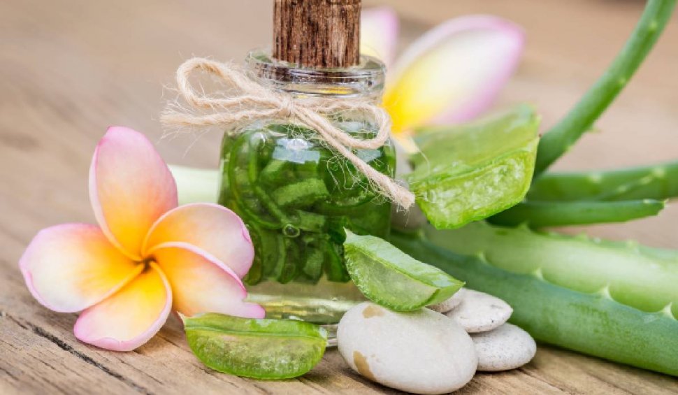 Aloe vera și lavanda: beneficii pentru frumusețe și sănătate