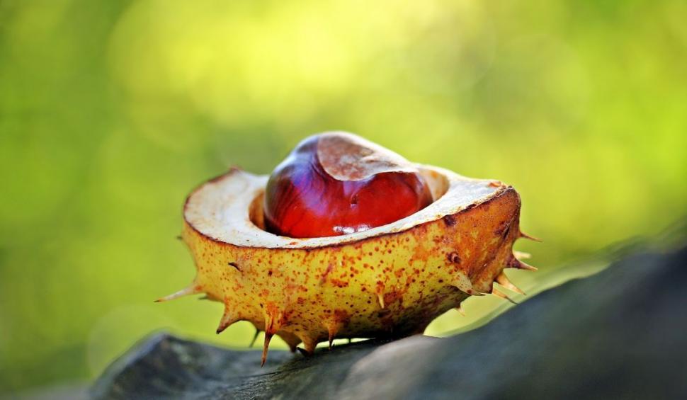 Amestecul care ajută la refacerea vaselor de sânge după un AVC. Lidia Fecioru: "10 picături. Tinctura se face acasă" 839601