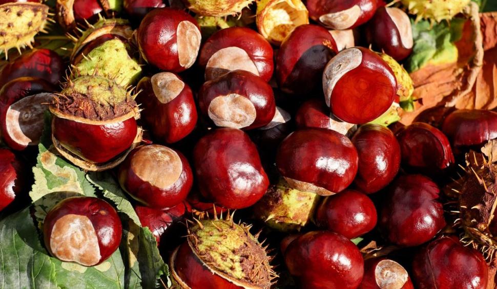 Amestecul care ajută la refacerea vaselor de sânge după un AVC. Lidia Fecioru: "10 picături. Tinctura se face acasă" 839602