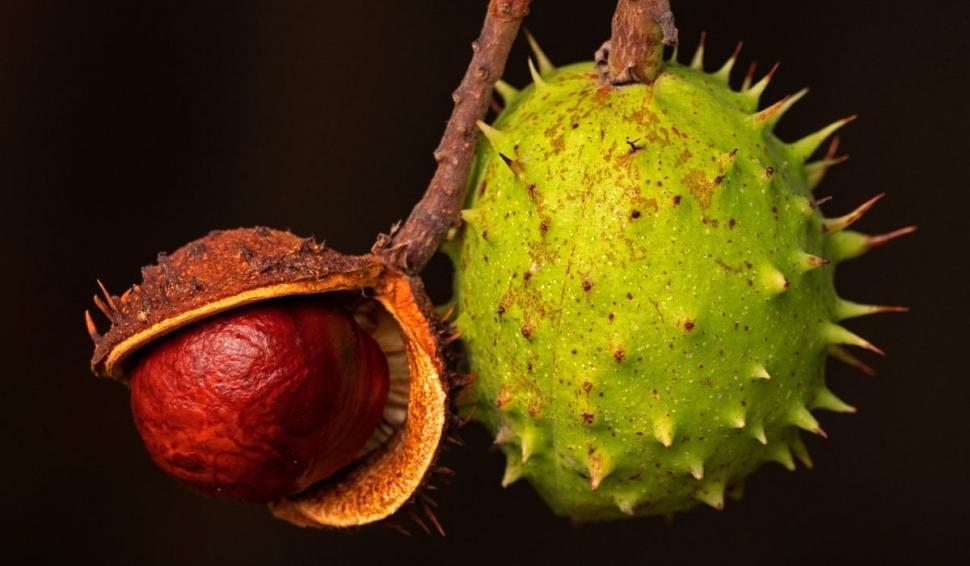 Amestecul care ajută la refacerea vaselor de sânge după un AVC. Lidia Fecioru: "10 picături. Tinctura se face acasă" 839604