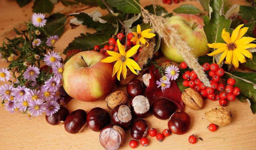 Amestecul care ajută la refacerea vaselor de sânge după un AVC. Lidia Fecioru: "10 picături. Tinctura se face acasă" 839606