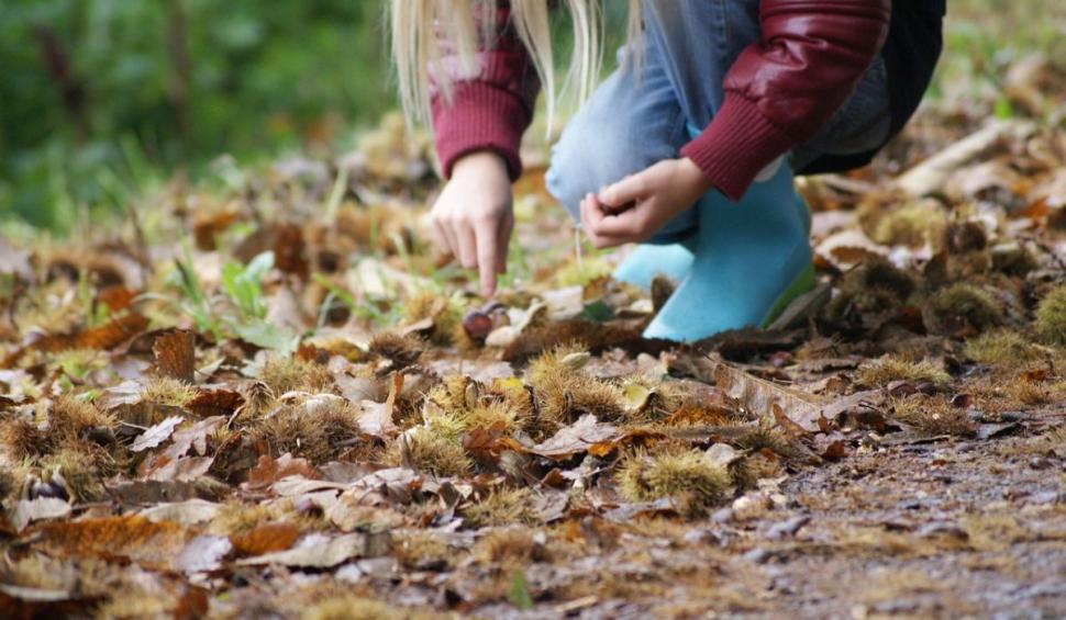 Amestecul care ajută la refacerea vaselor de sânge după un AVC. Lidia Fecioru: "10 picături. Tinctura se face acasă" 839607