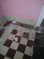 Cutremurul din Arad, noi detalii. Anunţul făcut de şeful INFP, Constantin Ionescu: "Activitatea poate să continue" 839554