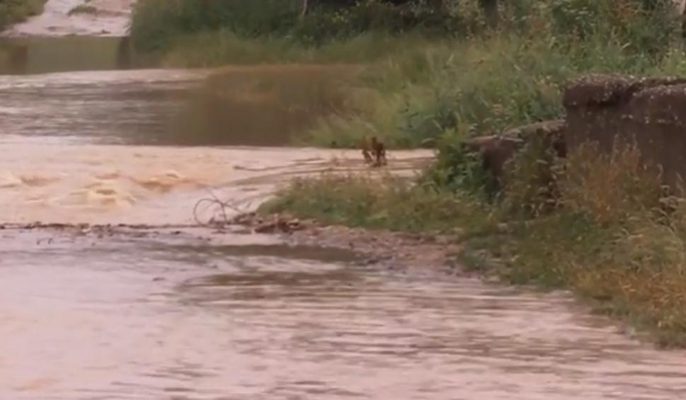 Imagini cu dezastrul lăsat în urmă de Codul roşu din sud-vestul ţării | Localnicii fac un zid de saci de nisip pentru a opri şuvoaiele 840102