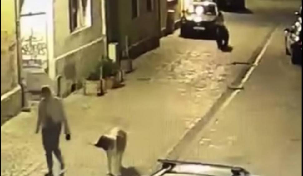 Scene de groază în Centrul Brașovului! O femeie, la un pas să fie atacată de un urs, în timp ce își plimba câinele 840004