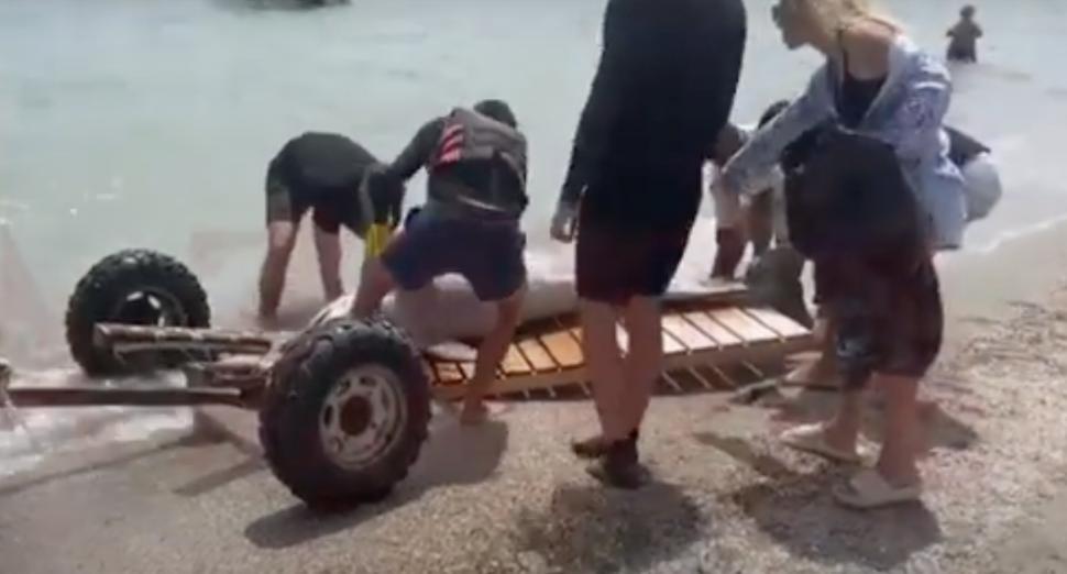 Alertă pe litoral! Un delfin mort a fost adus de valuri, pe o plajă din Mamaia 840865