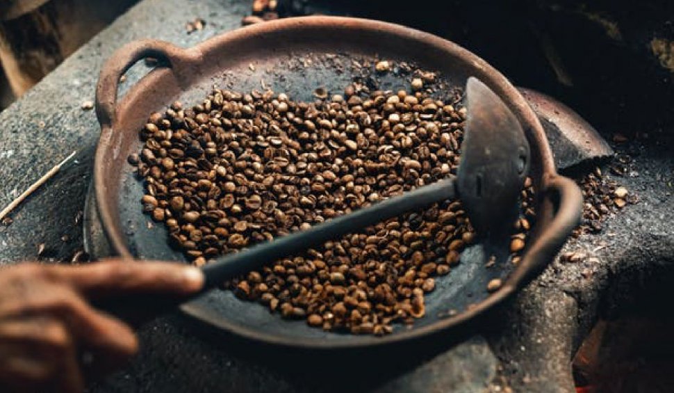 Oamenii de știință din Brazilia au dezvoltat soiuri de arbori pentru cafea fără cofeină