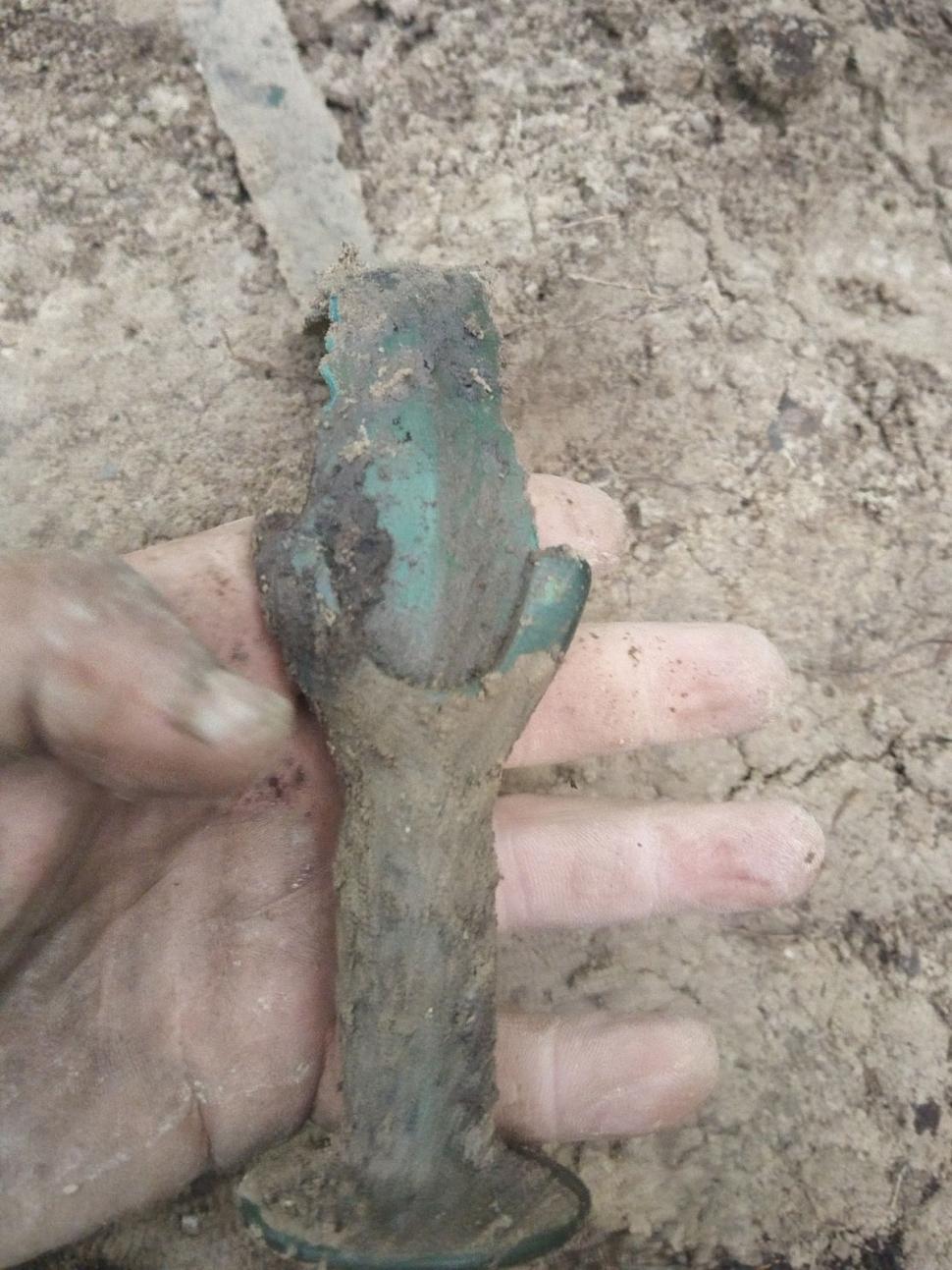 Sabie antică, găsită de un bărbat într-o pădure din Zalău | Este asemănătoare cu cea găsită în Germania 841298