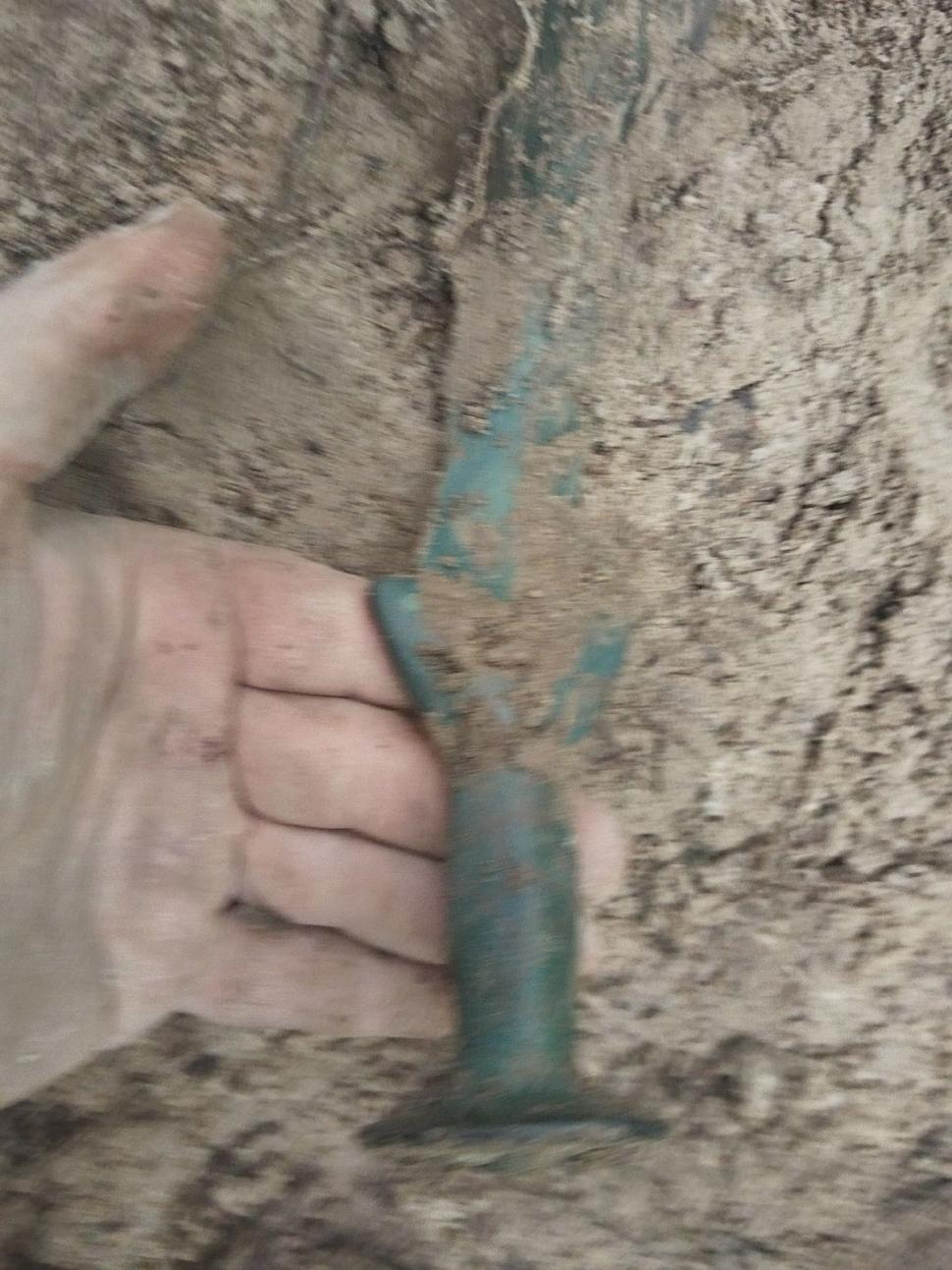 Sabie antică, găsită de un bărbat într-o pădure din Zalău | Este asemănătoare cu cea găsită în Germania 841303