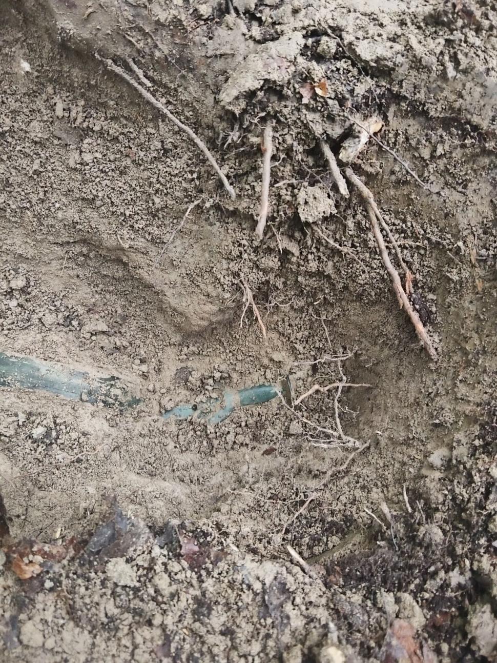 Sabie antică, găsită de un bărbat într-o pădure din Zalău | Este asemănătoare cu cea găsită în Germania 841304