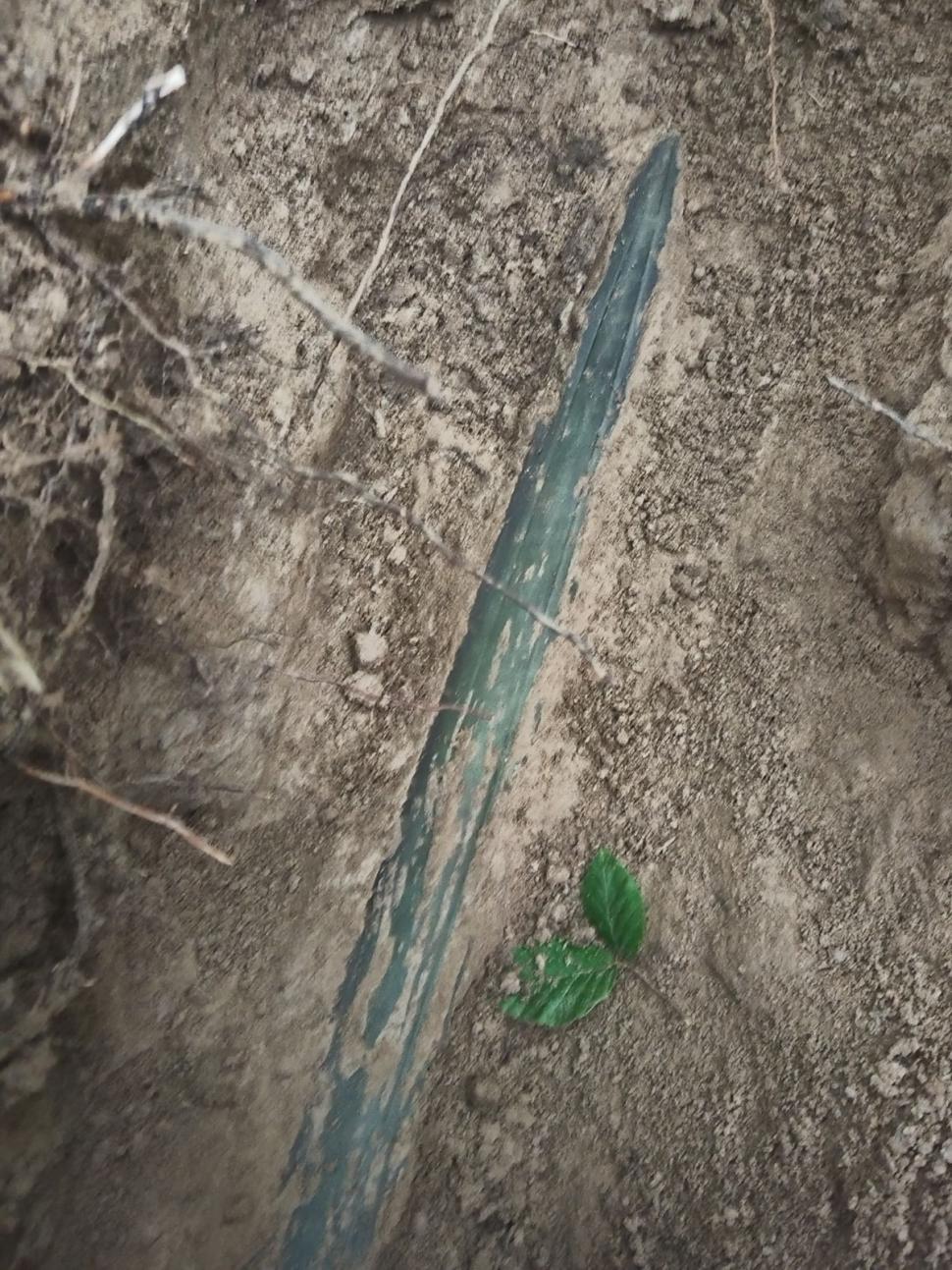 Sabie antică, găsită de un bărbat într-o pădure din Zalău | Este asemănătoare cu cea găsită în Germania 841305