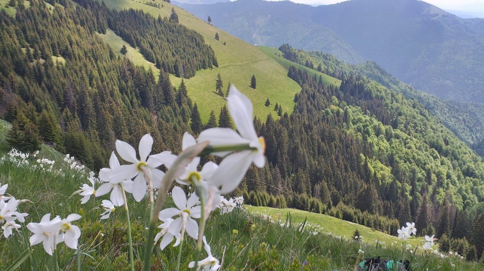 Munții din România unde nu ai voie să fotografiezi sau să filmezi: ”Va răspunde contravențional!”