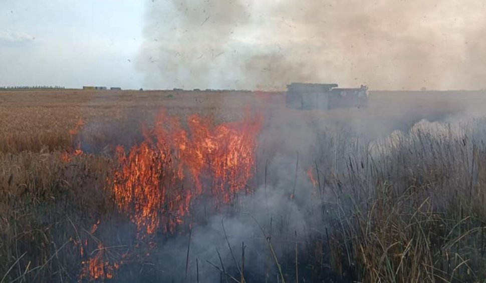 Şapte hectare de grâu au ars într-un incendiu pornit de la o ţigară, în Arad