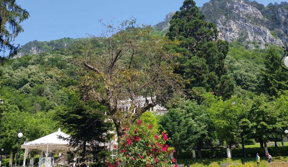 Festivalul Bucuriei, la Băile Herculane 841951