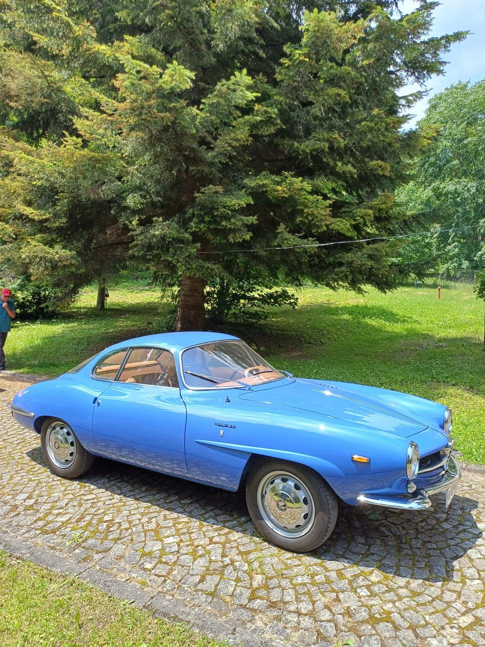 Imagini cu cele mai frumoase mașini de colecție din Europa, la Concursul de Eleganţă Sinaia 2023 842425