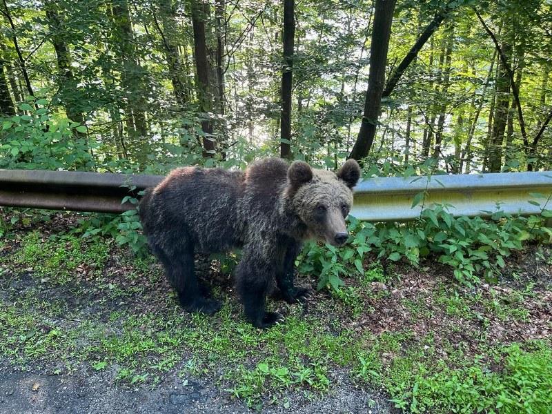 ÎPS Calinic îi avertizează pe turiștii care ajung pe Transfăgărășan: "Nu uitați primejdia! Poate fi fatală!" 842462