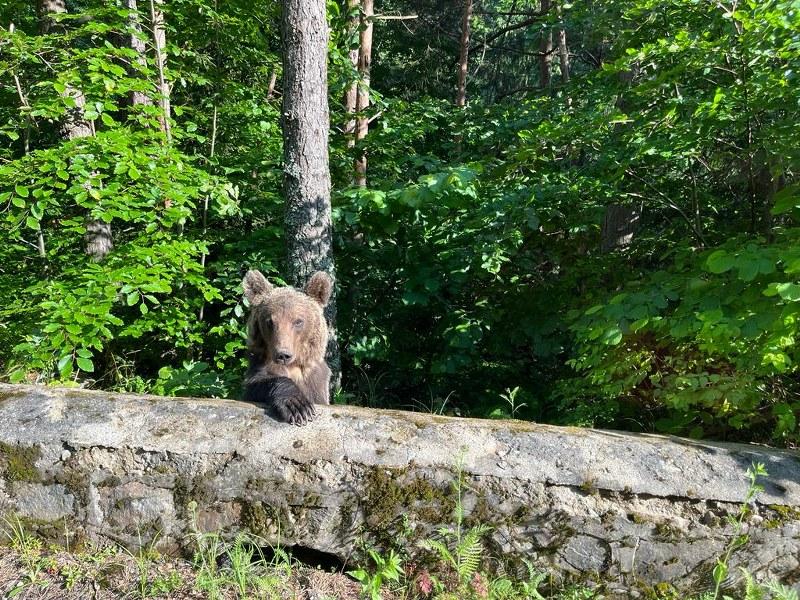 ÎPS Calinic îi avertizează pe turiștii care ajung pe Transfăgărășan: "Nu uitați primejdia! Poate fi fatală!" 842464