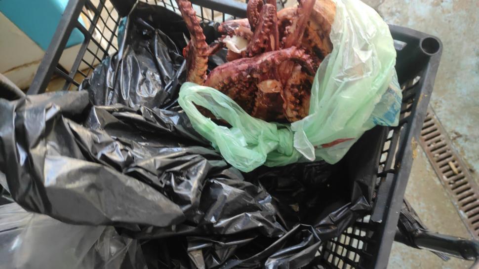 Cunoscut restaurant din Costinești, închis după ce s-au găsit gândaci, mizerie și produse expirate. Șeful ANPC: "Plus condiții de depozitare precare ale peștelui" 843090