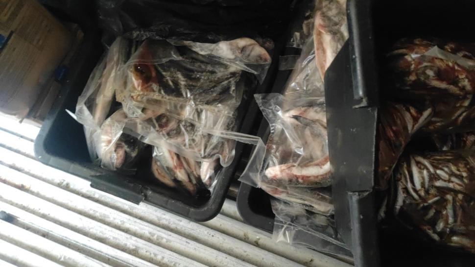 Cunoscut restaurant din Costinești, închis după ce s-au găsit gândaci, mizerie și produse expirate. Șeful ANPC: "Plus condiții de depozitare precare ale peștelui" 843091