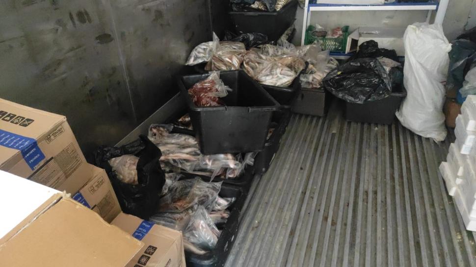 Cunoscut restaurant din Costinești, închis după ce s-au găsit gândaci, mizerie și produse expirate. Șeful ANPC: "Plus condiții de depozitare precare ale peștelui" 843092