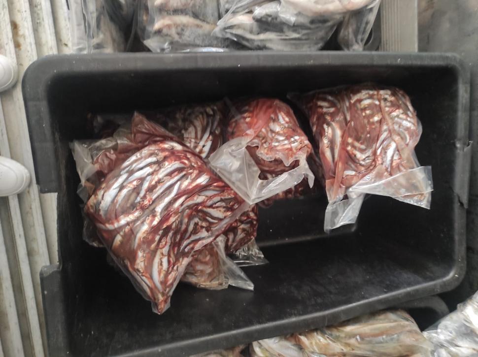 Cunoscut restaurant din Costinești, închis după ce s-au găsit gândaci, mizerie și produse expirate. Șeful ANPC: "Plus condiții de depozitare precare ale peștelui" 843094