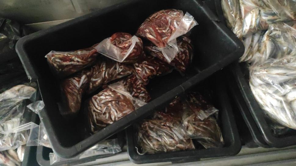 Cunoscut restaurant din Costinești, închis după ce s-au găsit gândaci, mizerie și produse expirate. Șeful ANPC: "Plus condiții de depozitare precare ale peștelui" 843097