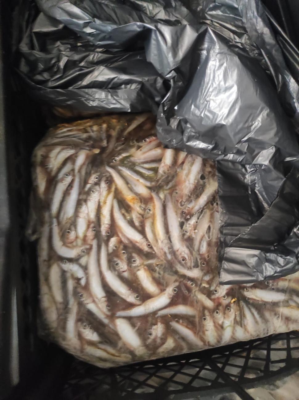 Cunoscut restaurant din Costinești, închis după ce s-au găsit gândaci, mizerie și produse expirate. Șeful ANPC: "Plus condiții de depozitare precare ale peștelui" 843098