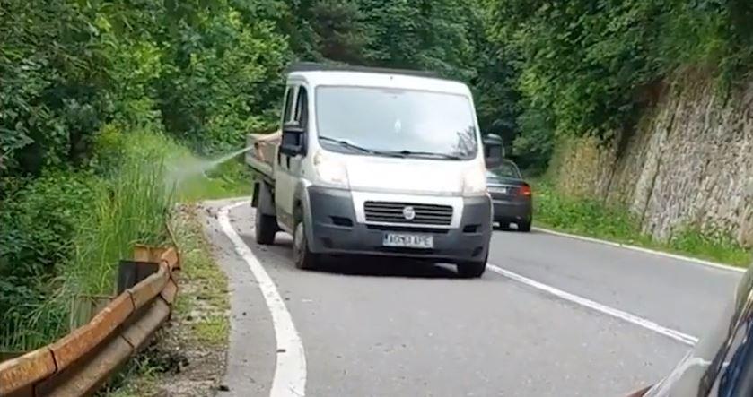 Imagini revoltătoare: Spray pulverizat în botul unui urs, pe Transfăgărăşan: "Pădurea este casa ursului. Este ca şi cum îi traversezi sufrageria" 843506