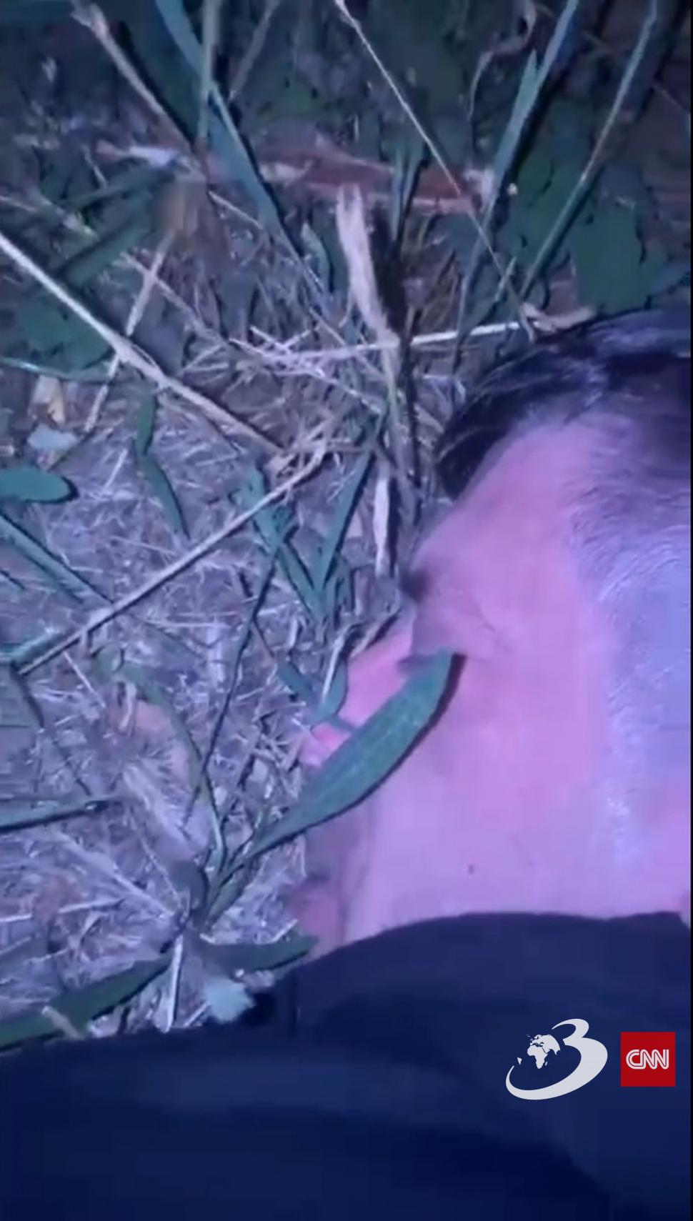 Principalul suspect în cazul dublului omor de la Timișoara a fost prins! Bărbatul a recunoscut crimele 843663