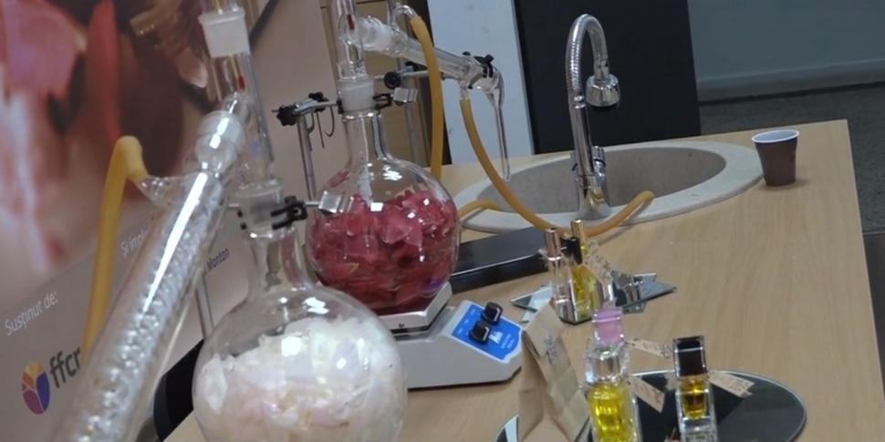 Școala unde elevii învață să extragă uleiuri esențiale din flori și fructe | ”Parfum de chimie”, proiect inovativ 843972