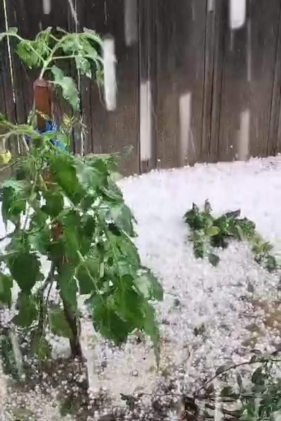 Grindina a făcut prăpăd în mai multe zone din țară | Covor alb de gheață în toiul verii, în urma fenomenelor extreme 844238