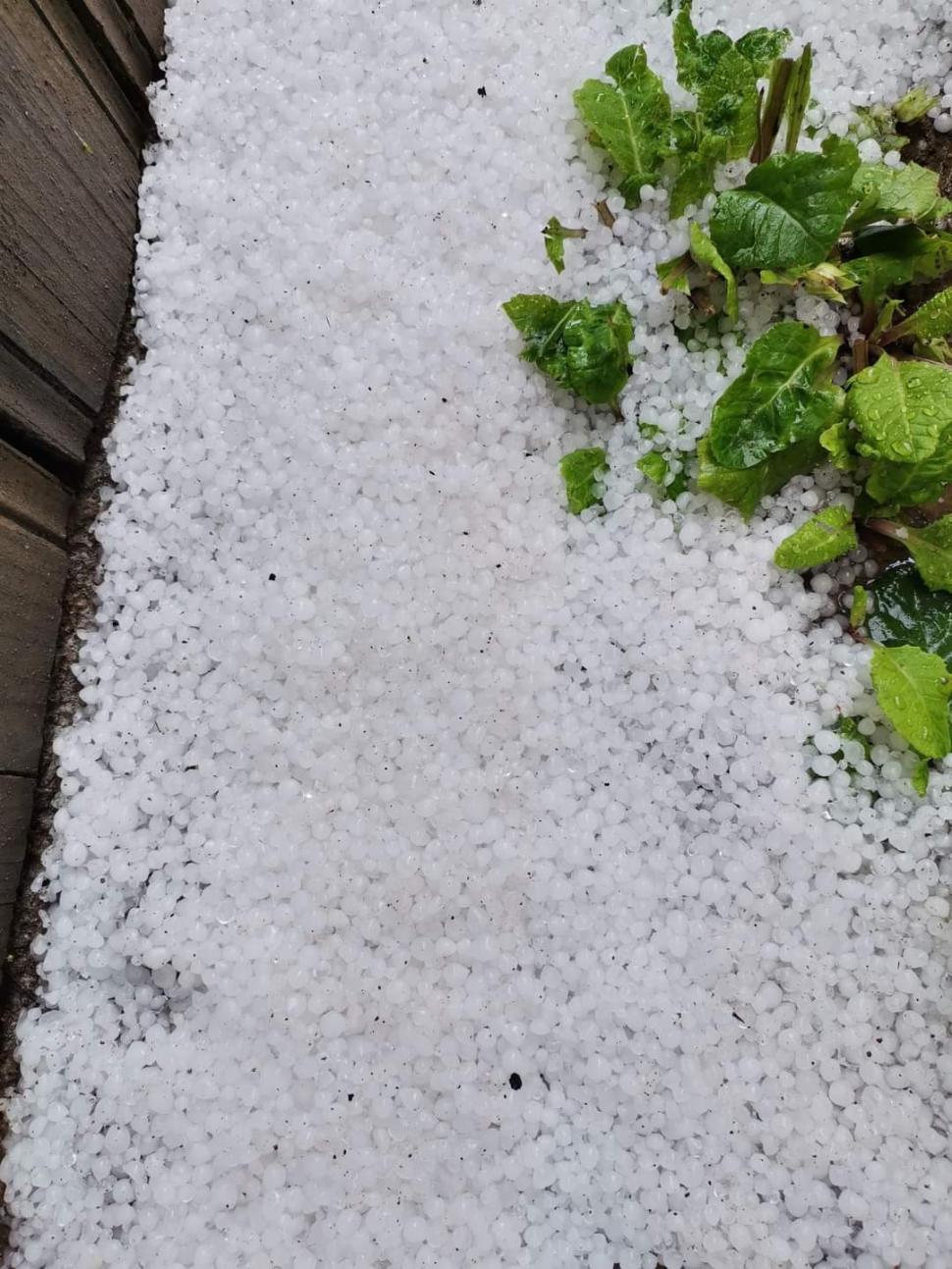 Grindina a făcut prăpăd în mai multe zone din țară | Covor alb de gheață în toiul verii, în urma fenomenelor extreme 844240