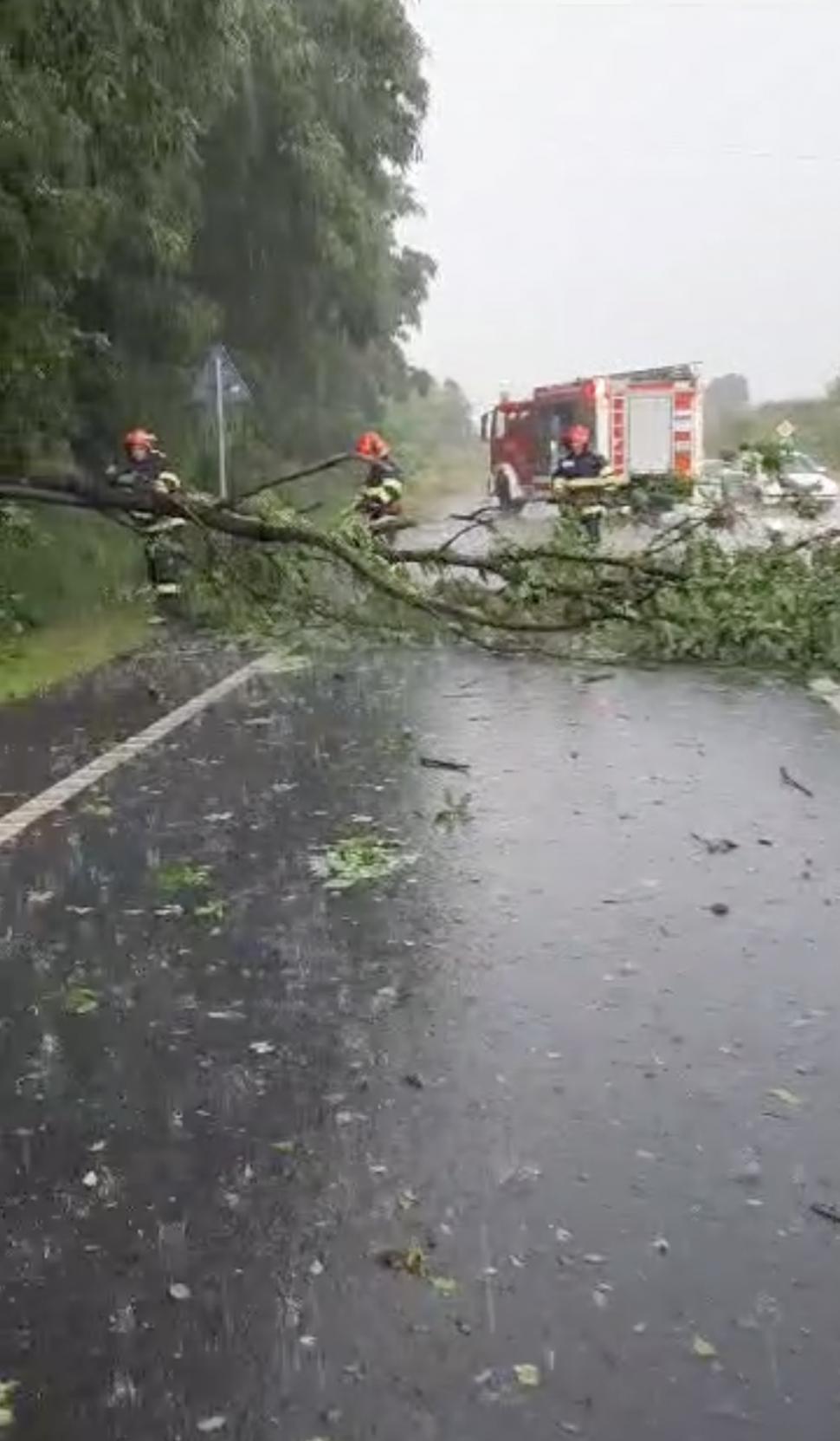 Atenționări meteo imediate: Cod roșu și portocaliu de ploi și vijelii. Lista localităților afectate 844654