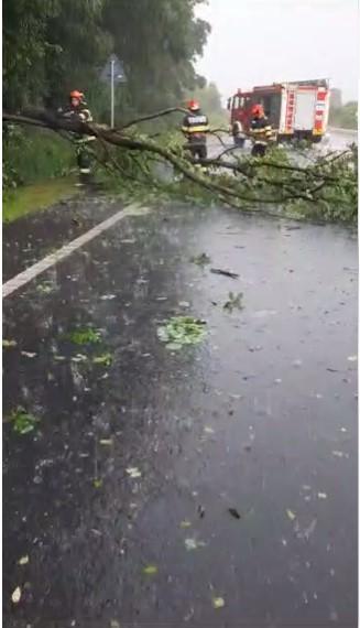 ANM, noua prognoză meteo | Unde lovesc furtunile în orele următoare 844786