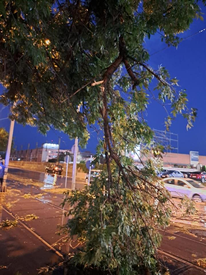 Imagini apocaliptice după inundaţiile din România | Lista judeţelor afectate 844839