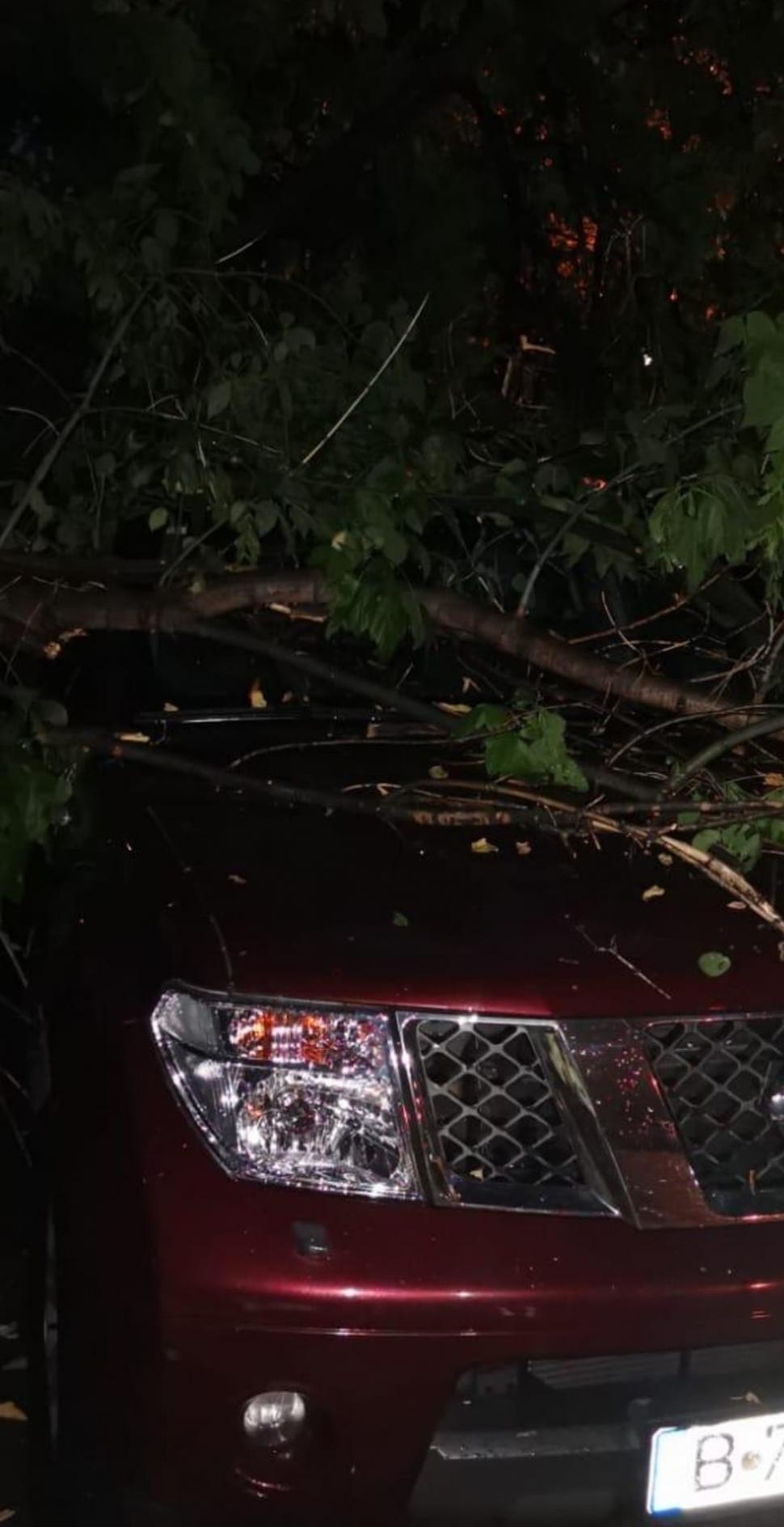 Imagini apocaliptice după inundaţiile din România | Lista judeţelor afectate 844841