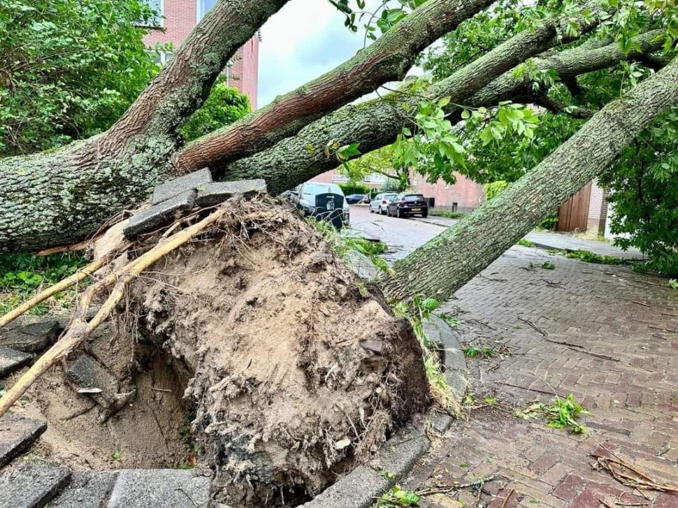 Imagini apocaliptice după inundaţiile din România | Lista judeţelor afectate 844842